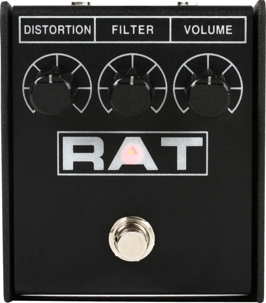 Rat